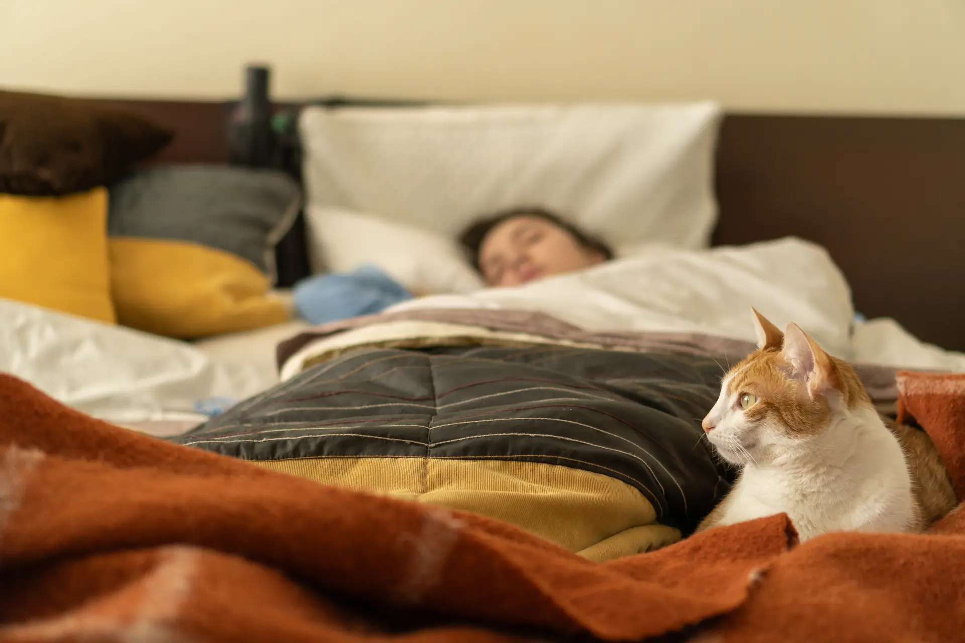 Prioritize restorative sleep