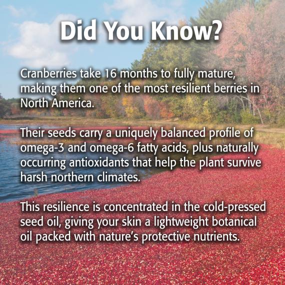 Cranberry Seed Oil