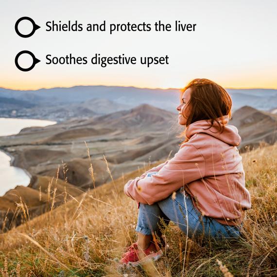 Milk Thistle Seed Extract 250 mg