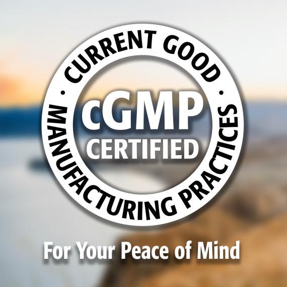 Milk Thistle Seed Extract 250 mg